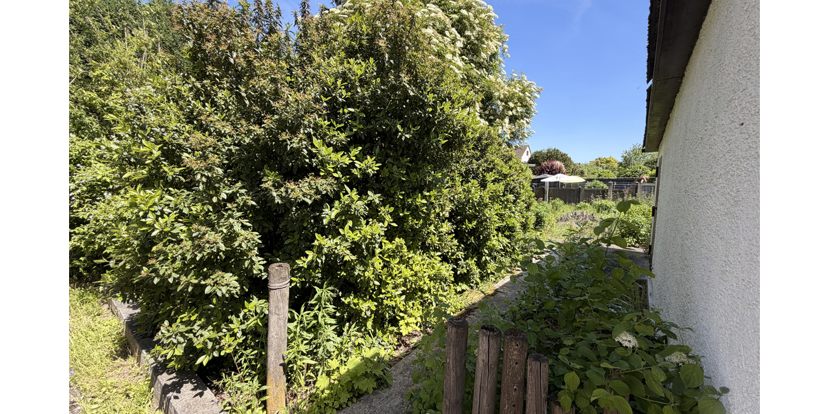 Garten neben Garage